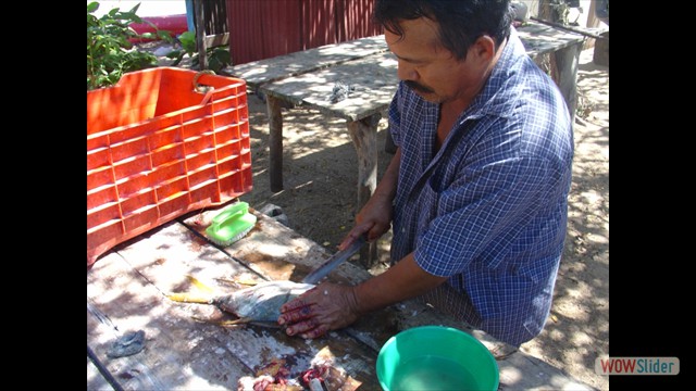 gio e selli in messico2 202